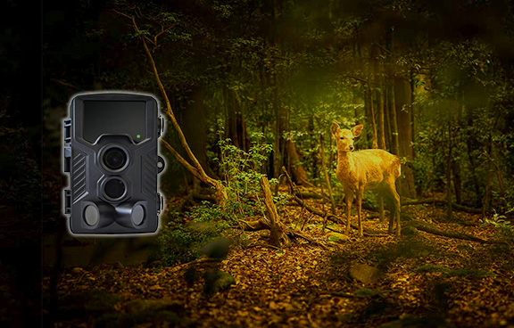 Trail Camera