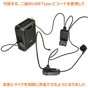 二股のUSB Type-Cコード